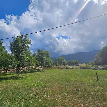 Medak House Under The Velebit Mountain 빌라 외부 사진