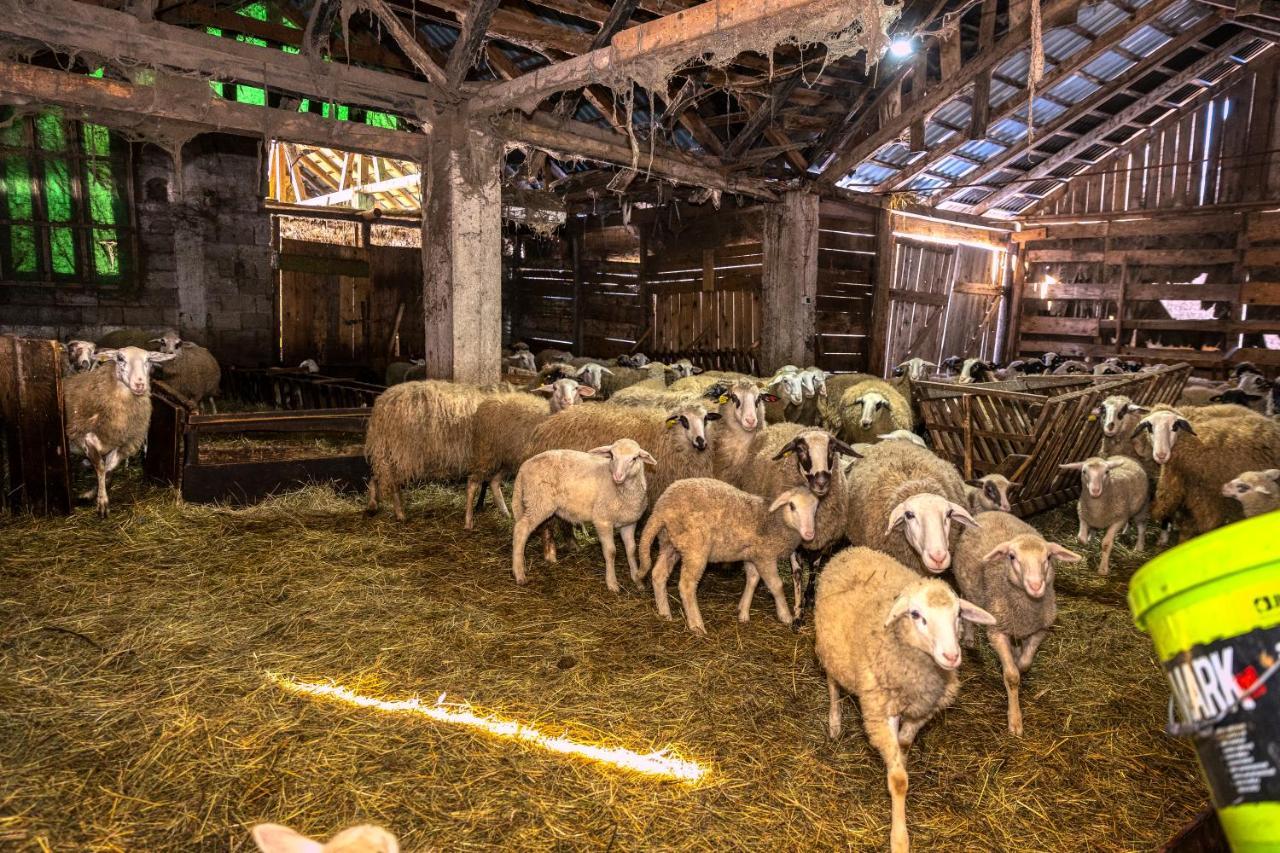 Medak House Under The Velebit Mountain 빌라 외부 사진