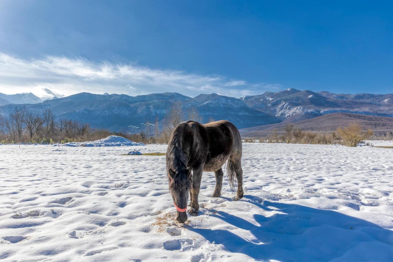 Medak House Under The Velebit Mountain 빌라 외부 사진