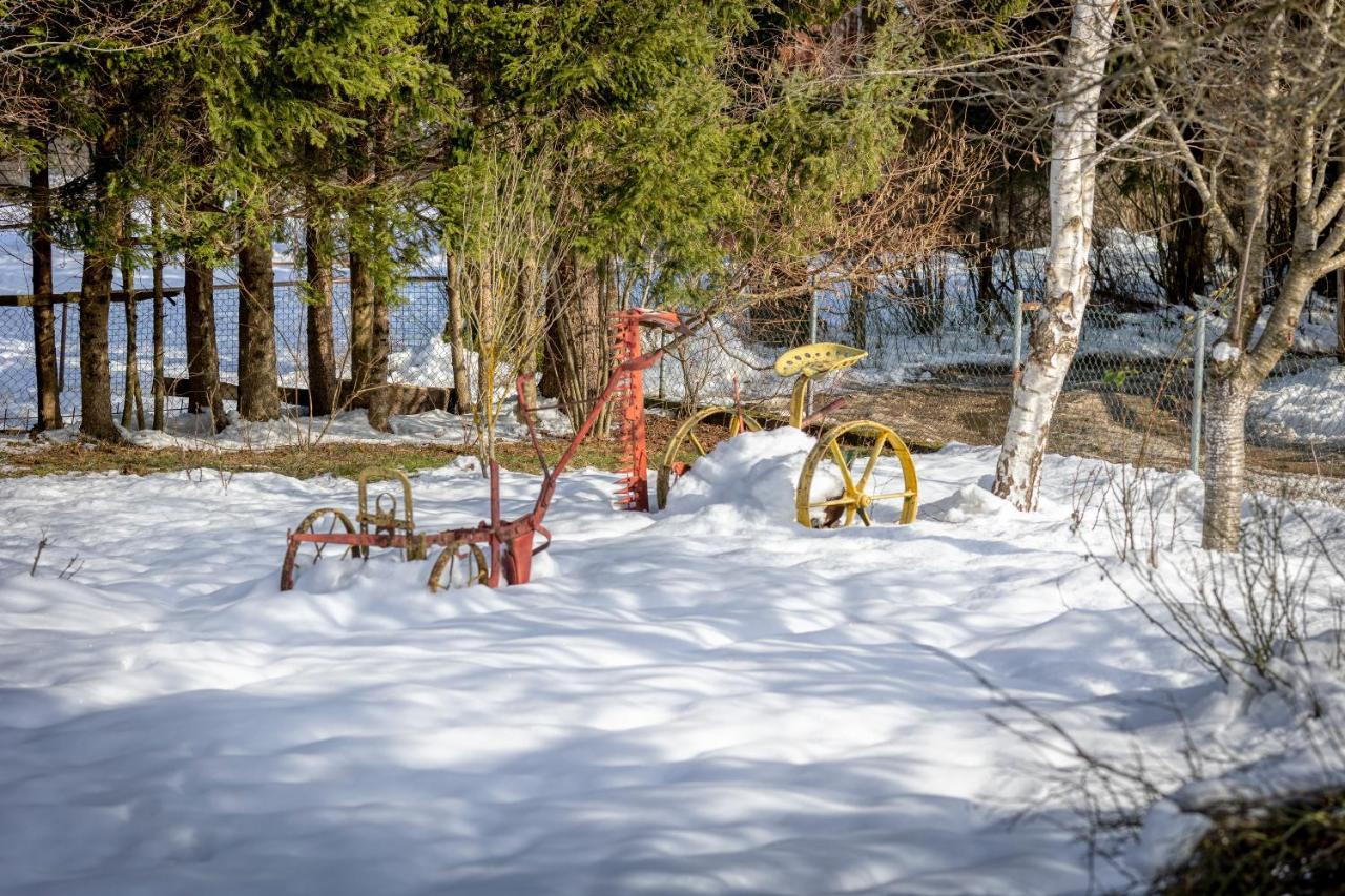 Medak House Under The Velebit Mountain 빌라 외부 사진